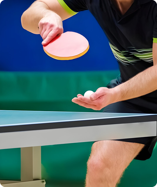 Certified Table Tennis systems